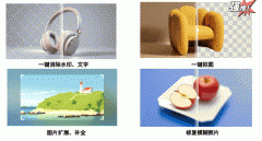 仅是收集会商的一种体例